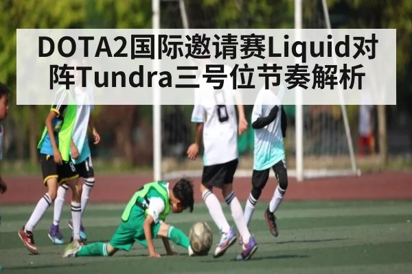 DOTA2国际邀请赛Liquid对阵Tundra三号位节奏解析
